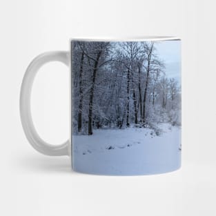 Frozen pond covered in fresh snow. Mug